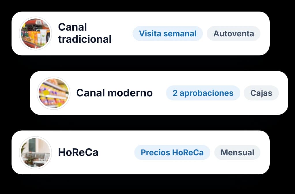 BeatRoute configurado para canal tradicional, moderno y HoReCa, cada canal con sus propias reglas de visita y aprobación