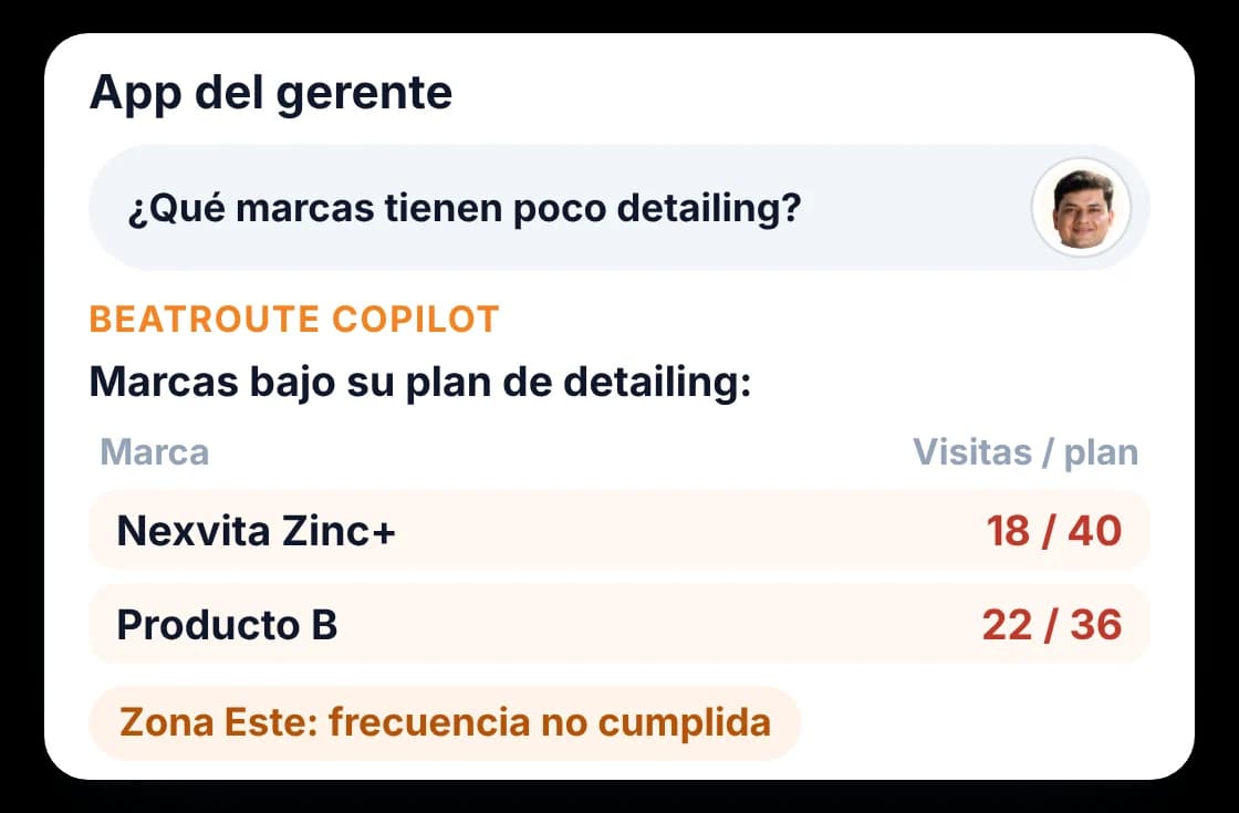 BeatRoute Copilot mostrando brechas de detailing