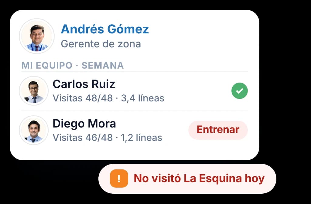 La vista del gerente de zona con un vendedor marcado para entrenar y una alerta del mismo día por una visita omitida