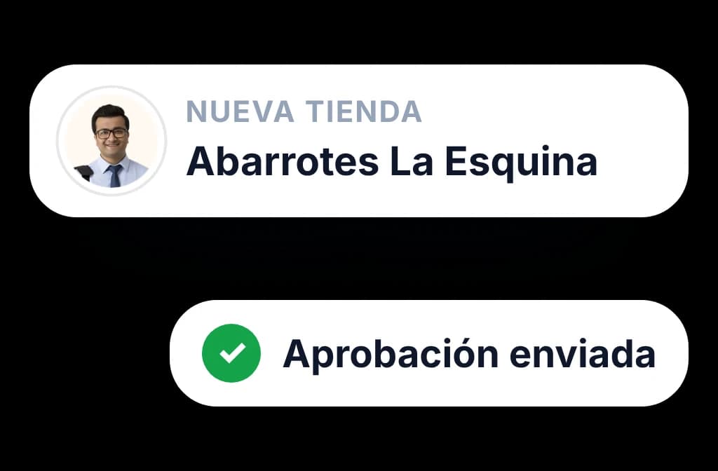 Un vendedor da de alta una tienda nueva en campo y se envía sola una solicitud de aprobación a otro sistema