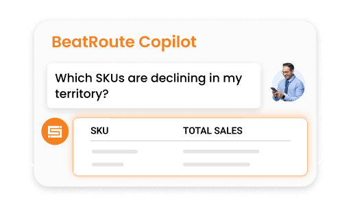 BeatRoute Copilot: managers ask questions in natural language and get answers backed by their own territory data.
