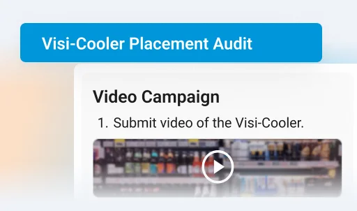 Visi cooler placement audit asking the rep to record a video of the in store branding.