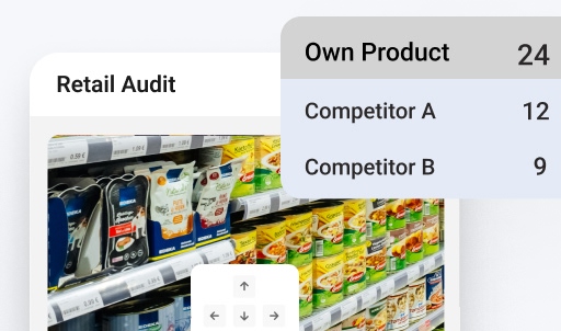 retail auditors 1 - FMCG Sales Force Automation Software
