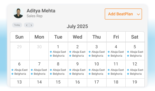 assign beats based on rep capacity and territory coverage - Visit Planning